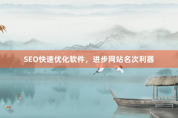 SEO快速优化软件，进步网站名次利器