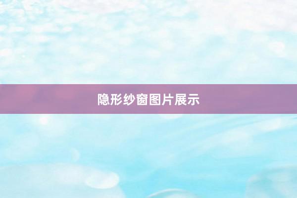 隐形纱窗图片展示