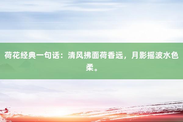 荷花经典一句话：清风拂面荷香远，月影摇波水色柔。